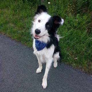 Steven McBride's avatar