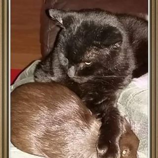 Joanne Hawksworth's avatar