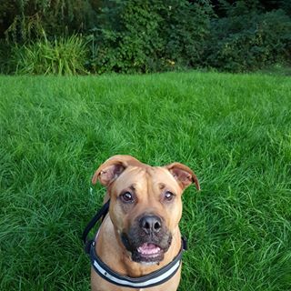 Melanie Linsey Carpenter's avatar