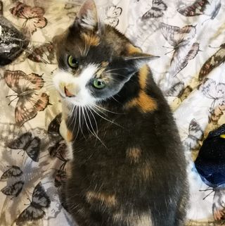 Ian Stirrup's avatar