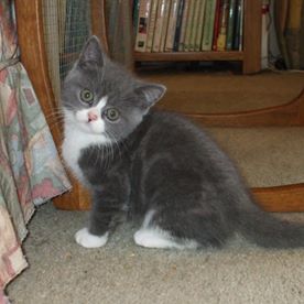 Anne Mowlam's avatar