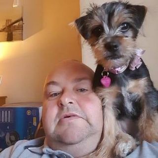 Darren Gillies's avatar