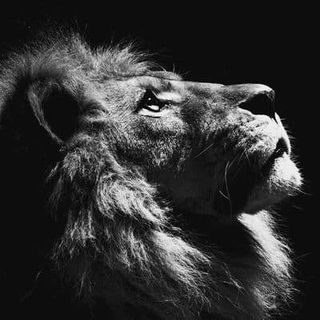 Manvir Chatha's avatar