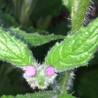 Michael Eyres's avatar