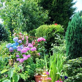 Diane Bednall's avatar