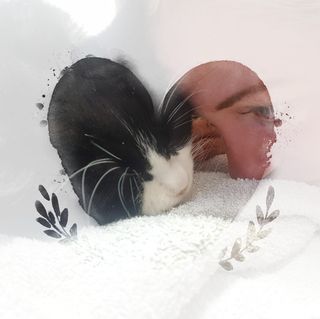 Terri End Bsl Corbett's avatar