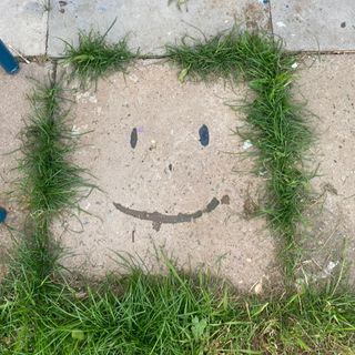 Tracy Ben Achour's avatar