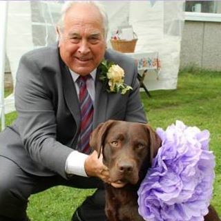 David Harris's avatar