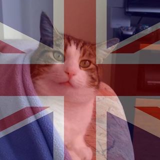 Chris Merson's avatar