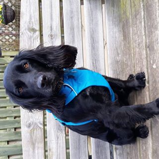 Brenda Kirkpatrick's avatar