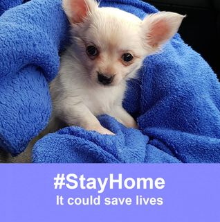 Eleanor Nugent's avatar