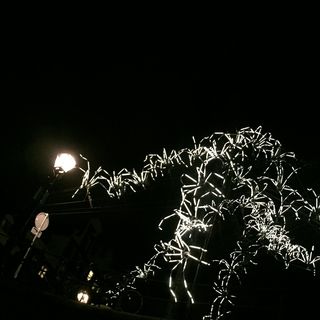 Susan Magnos's avatar