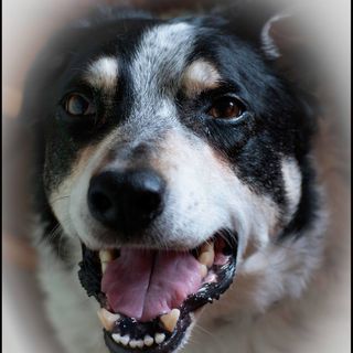 Paul Roberts's avatar