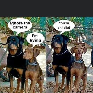 Simon End Bsl Jones's avatar