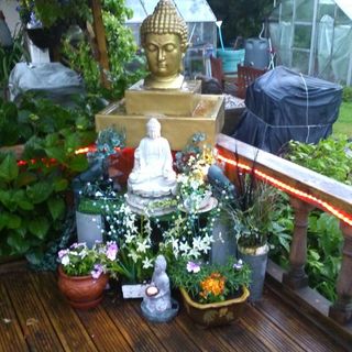 Margaret Brooks's avatar