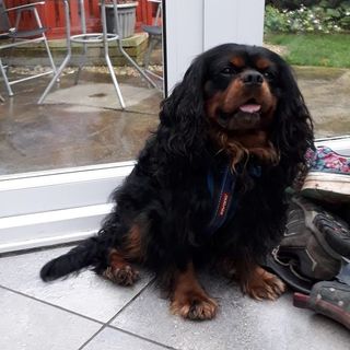 Nicola King's avatar