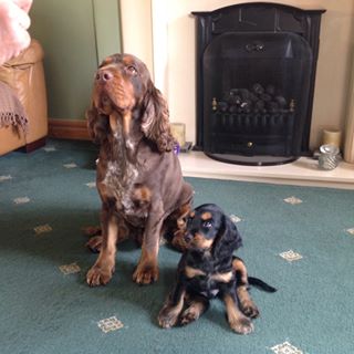 Dee Fallows's avatar