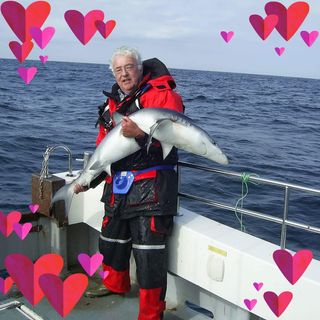 John Bailey's avatar