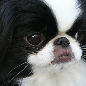 Lorna Affection's avatar