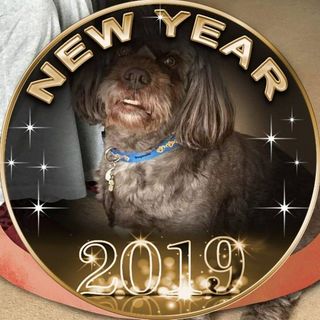 Keith Dibble's avatar