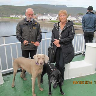 Carol Hardman's avatar