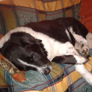 Myra Webster's avatar