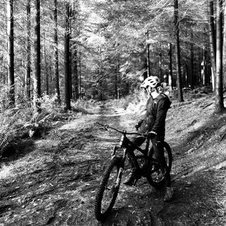 Julia Seidel's avatar