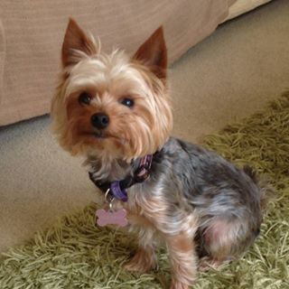 Susan Brown's avatar