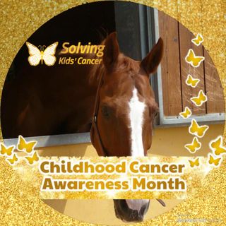 Laura Brook Pediani's avatar