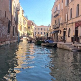 Jack Collis's avatar