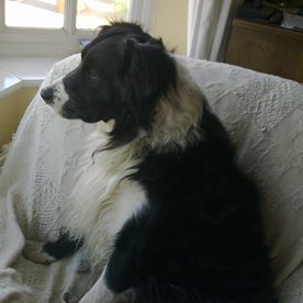 John Hauber's avatar