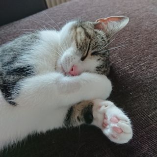 Diane Marie Pugh's avatar