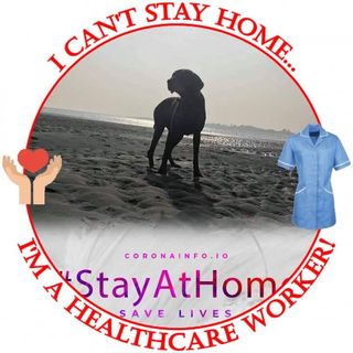 Lesley Greenslade's avatar