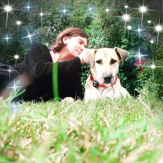 Jane Wallace's avatar