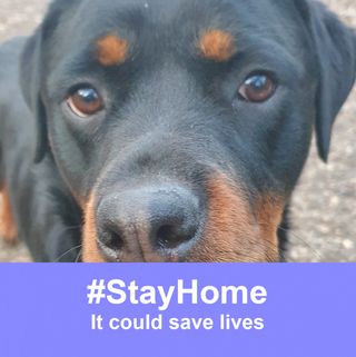 Liz Mcdonnell's avatar