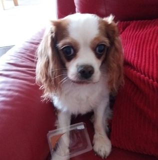 Maggie Coffey-Smith's avatar