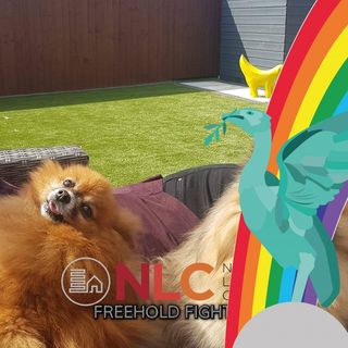 Victoria Jacques's avatar