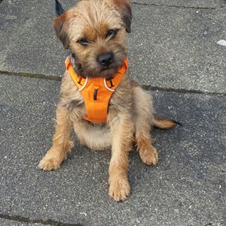 Marwyn Rodgers's avatar