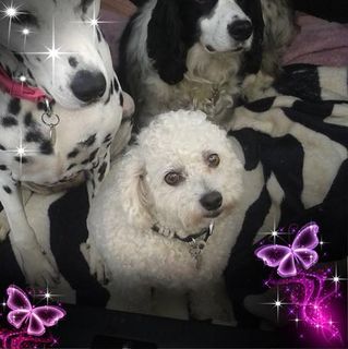 Barbara Howard's avatar