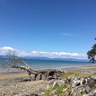 Patricia Fox's avatar