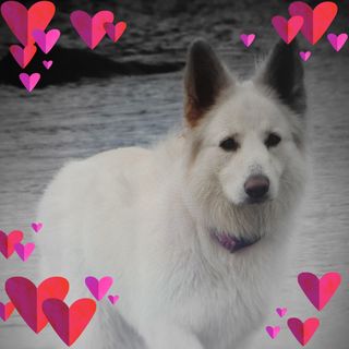 Alison Mckirdy's avatar