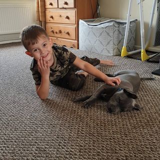 Danny Giovanni Rinaldi's avatar