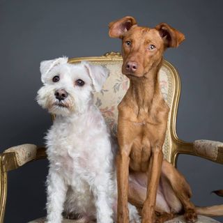 Pam Blackborow's avatar