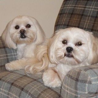 Jan Harmsworth-Aston's avatar