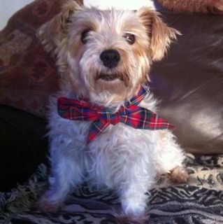 Maria Murray's avatar