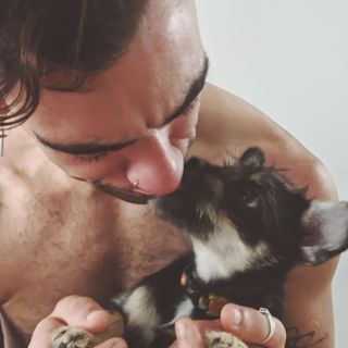 Tiago Fernandes's avatar