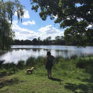 Tracy Grant's avatar