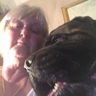 Ronnie Miller's avatar