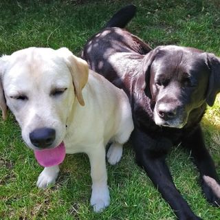 Dale Elliott's avatar