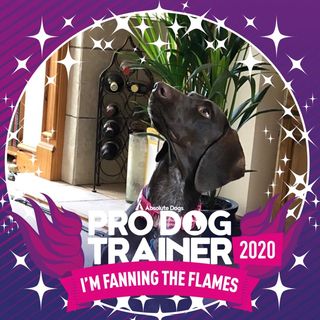 Sue Stacey's avatar